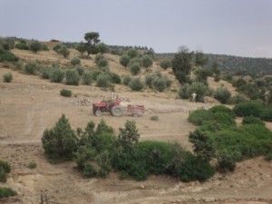 “تويزة” حفر الأسس لمسجد آيت مخشون